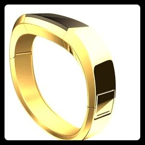 Fitbit Alta Watch Band Gold